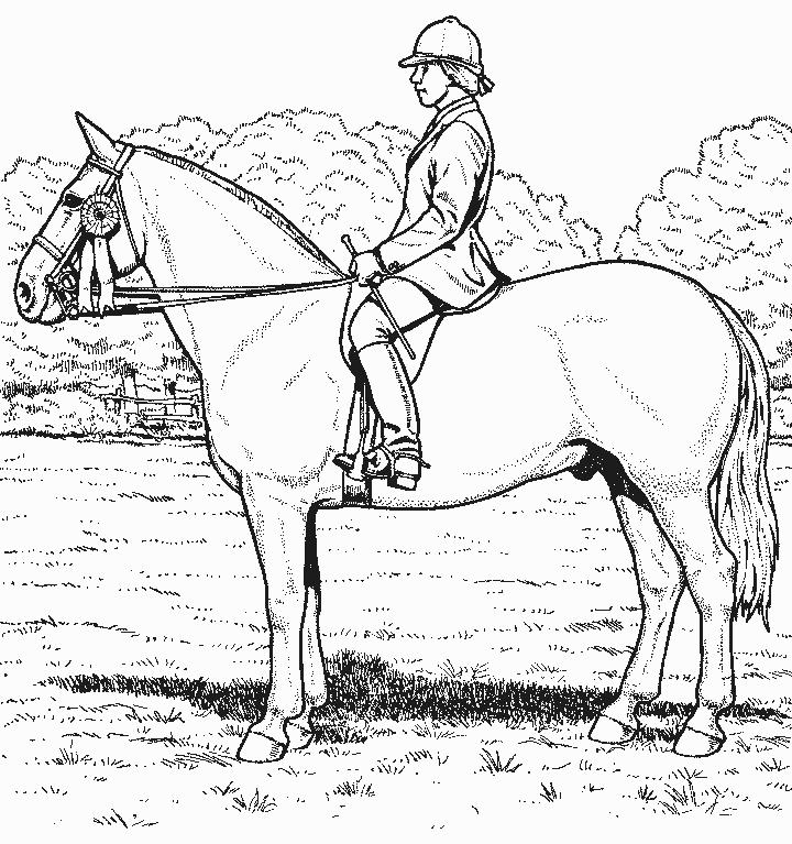 coloriage cheval et son cavalier